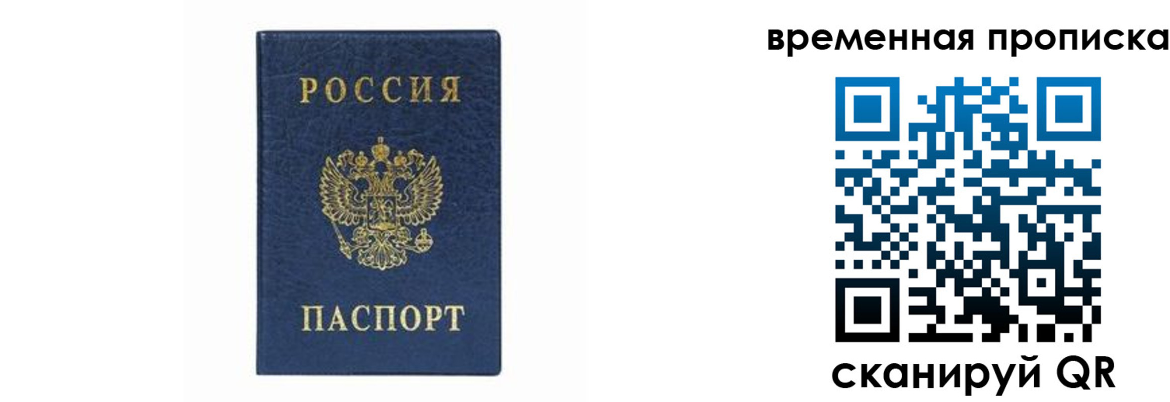 прописка гарантия в Пушкино